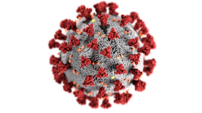 Corona Virus Grafik - Wissenschaftliche Darstellung
